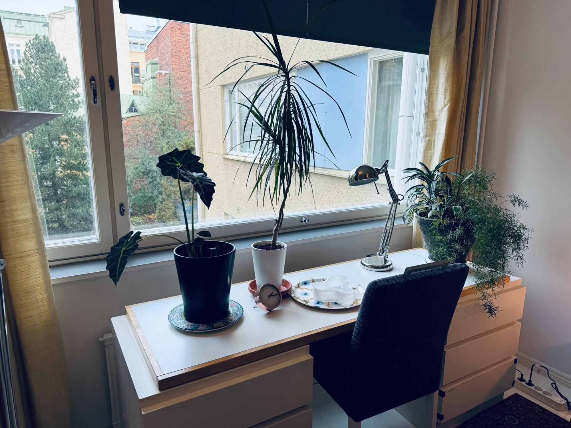 Lovely Apartment, Vuorimiehenkatu 31 Хелзинки Екстериор снимка