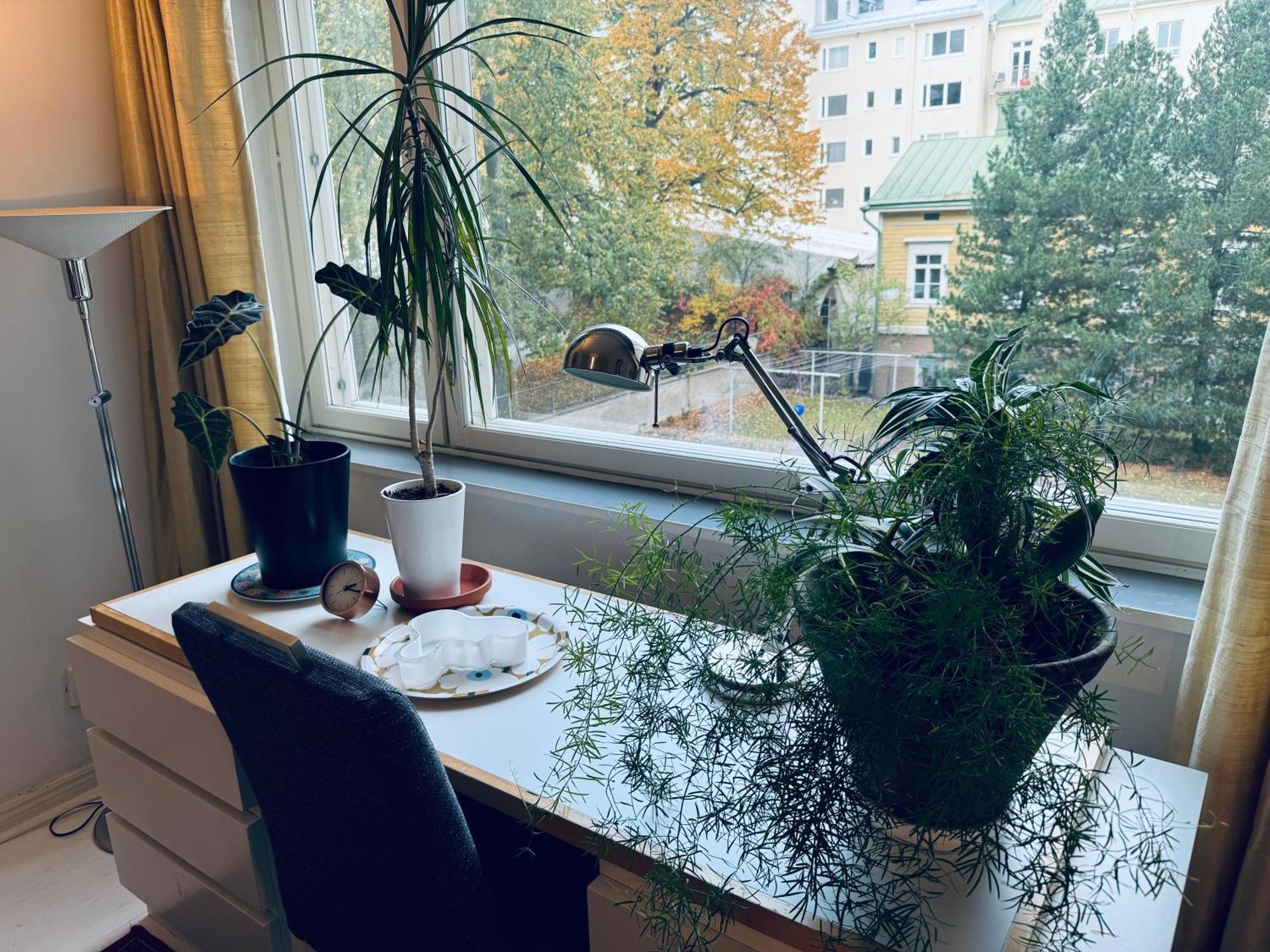 Lovely Apartment, Vuorimiehenkatu 31 Хелзинки Екстериор снимка